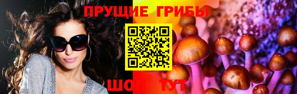Псилоцибиновые грибы GOLDEN TEACHER  Вход с VPN  Псилоцибиновые грибы Psilocybe  даркнет сайт  Железноводск 